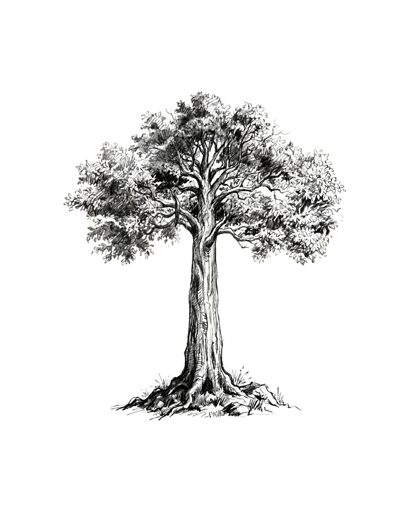 Image Slider